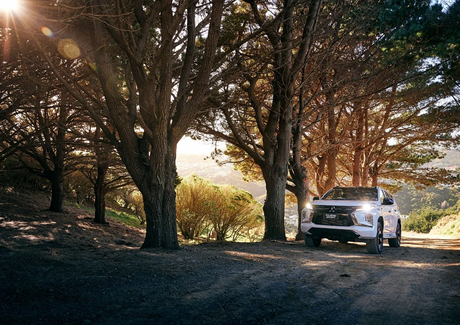 Pajero Sport driving through trees at dawn