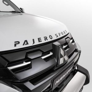 Hood Emblem
